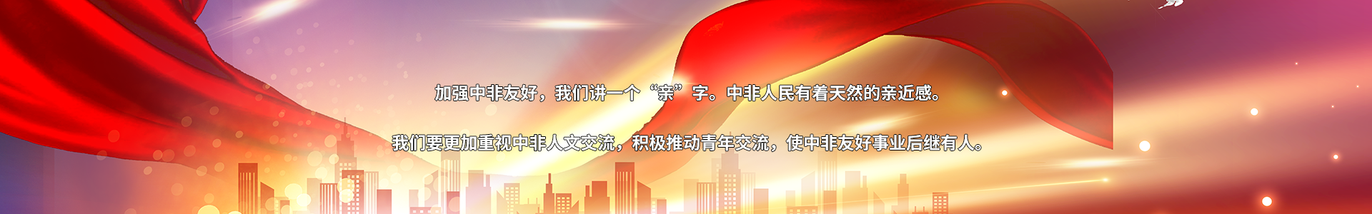 中非友好经贸发展工作委员会 - 0