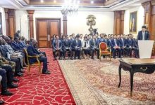 驻加蓬大使参加恩圭马总统集体会见在加中资企业和侨民代表-中非友好经贸发展工作委员会