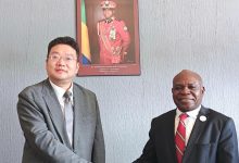 周平大使会见加蓬新任职业教育部长托南戈耶-中非友好经贸发展工作委员会