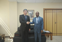 驻多哥大使巢卫东会见多经财部长巴尔科拉-中非友好经贸发展工作委员会