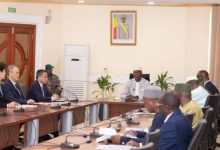 驻马里大使应约会见马总理马伊加-中非友好经贸发展工作委员会