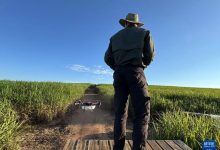 【农业合作】中国无人机在南非播撒“绿色希望”-中非友好经贸发展工作委员会