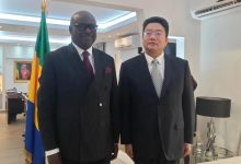 驻加蓬大使会见加蓬外长奥南加-中非友好经贸发展工作委员会