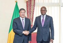 江苏省代表团拜会加蓬总统恩圭马-中非友好经贸发展工作委员会