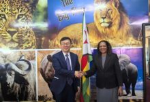 驻津巴布韦大使拜会津新任环境部长恩德洛武-中非友好经贸发展工作委员会