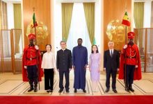 驻塞内加尔大使向塞总统法耶递交国书-中非友好经贸发展工作委员会