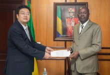 驻加蓬大使拜会加蓬新任副总统穆恩杜恩加-中非友好经贸发展工作委员会