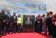 驻坦桑尼亚大使应邀赴姆万扎省出席马古富力大桥落成通车仪式-中非友好经贸发展工作委员会