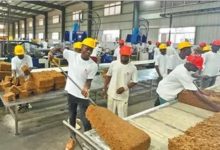 中国助力科特迪瓦农业提质升级-中非友好经贸发展工作委员会