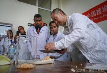 中国援埃塞俄比亚高级农业专家组助推当地农业发展-中非友好经贸发展工作委员会