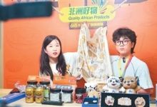 给予非洲建交国100%税目产品完全免税待遇——非洲53国加入中国零关税“朋友圈”-中非友好经贸发展工作委员会