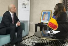 驻乍得大使拜会乍新任国务部长兼妇女部长恩古卢-中非友好经贸发展工作委员会