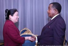 驻刚果(布)大使拜会刚总统萨苏-中非友好经贸发展工作委员会