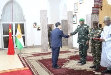 驻尼日尔大使向尼总统奇亚尼递交国书-中非友好经贸发展工作委员会