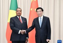 王沪宁会见刚果（布）总统萨苏-中非友好经贸发展工作委员会