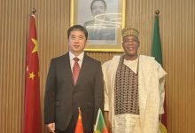 驻喀麦隆大使到任拜会喀公共卫生部长玛纳乌达-中非友好经贸发展工作委员会