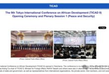 日本官方何以夸大东京非洲发展国际会议的参会元首人数?-中非友好经贸发展工作委员会