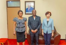 驻布隆迪大使拜会布参议长恩迪拉科布卡-中非友好经贸发展工作委员会